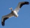 500__MG_8466_4132_edited-1.jpg 26.1K