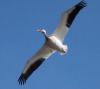 500__MG_8467_4133_edited-1.jpg 19.8K