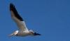 500__MG_8471_4137_edited-1.jpg 12.7K